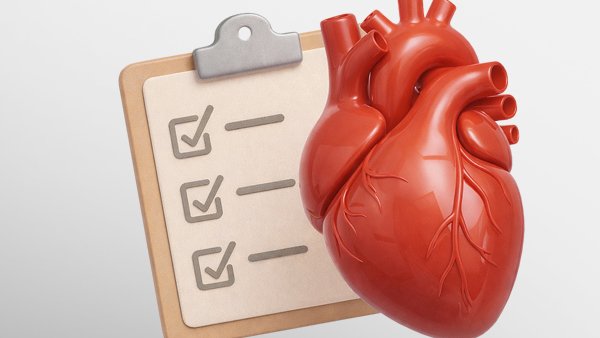 Сердце и сосуды